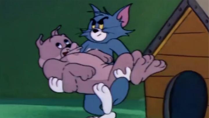 猫和老鼠:汤姆胆子真大,连狗都敢抱走,也不怕被咬