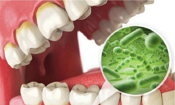 快来看这篇文章|刷牙|细菌|口腔_新浪新闻