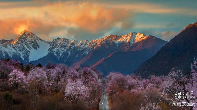 山花如翡,如见故人 春天一定要去的地方