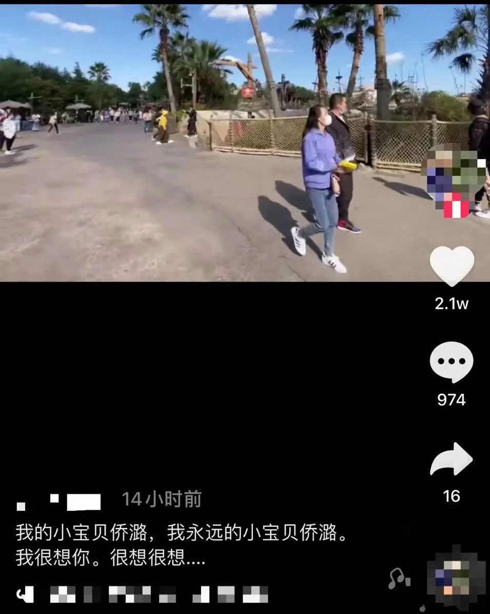 孙侨潞逝世半月姐姐晒生前视频悼念带外甥游玩游乐场很贴心