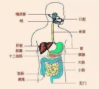 孩子胃口不好