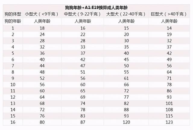 狗狗的寿命有多长有这5个表现的狗说明已经变老了
