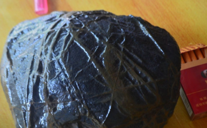 老大爷发现一条纹石块专家一看称之为罕见宝贝