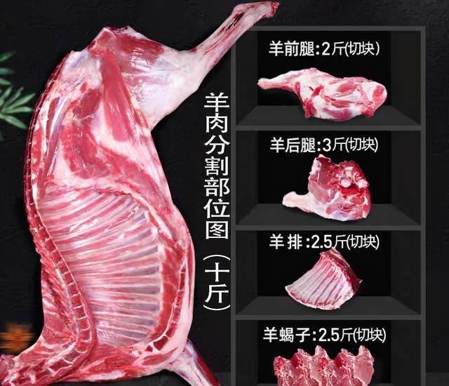 买活羊,要分清"公羊"和"母羊",区别挺大,弄懂再买不被忽悠
