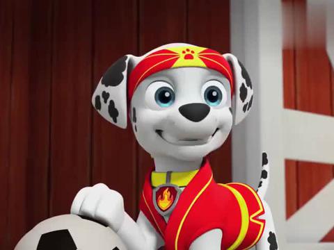 汪汪队:毛毛展示优秀功夫,狗狗们很敬佩,老师要培养毛毛