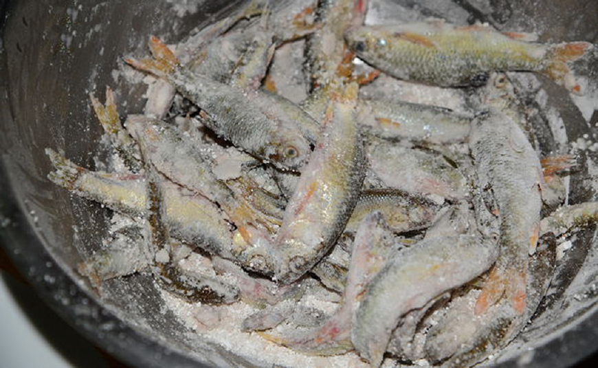 这鱼给孩子吃最好,5块钱2斤|地瓜粉|鱼|九层塔_新浪新闻