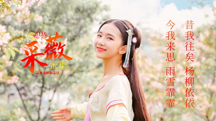 聆听张渠《采薇》赏千年古都西安风光