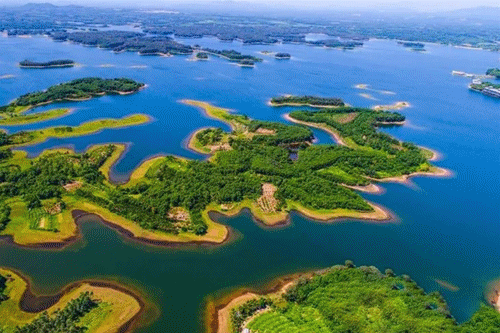 相约海岛丨比壁纸还美的湖光山色~快来感受“人在画中游”的美好体验!|木色湖|枫木鹿场|白鹭湖_新浪新闻
