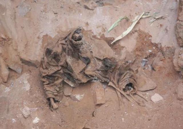 山东水泥藏尸案:会计杀5人藏尸家中6年,逃亡路上还娶了2个妻子