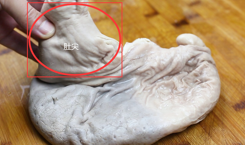 猪肚有一个位置是非常好吃的,那就是"肚尖",这个位置的肉非常的脆嫩