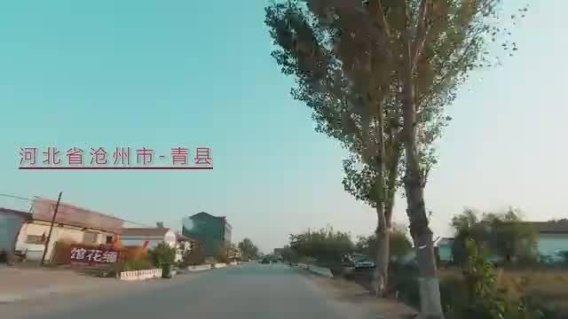 沧州市-青县2020年10月街景_新浪新闻