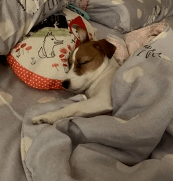 许多人都开始有"起床困难症",真是恨不得每天都只想要缩在被窝里