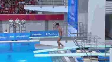 继菲律宾跳水失误后,墨西哥选手又蠢出新高度,教练都看傻了!休闲区蓝鸢梦想 - Www.slyday.coM 继菲律宾跳水失误后,墨西哥选手又蠢出新高度,教练都看傻了!休闲区蓝鸢梦想 - Www.slyday.coM