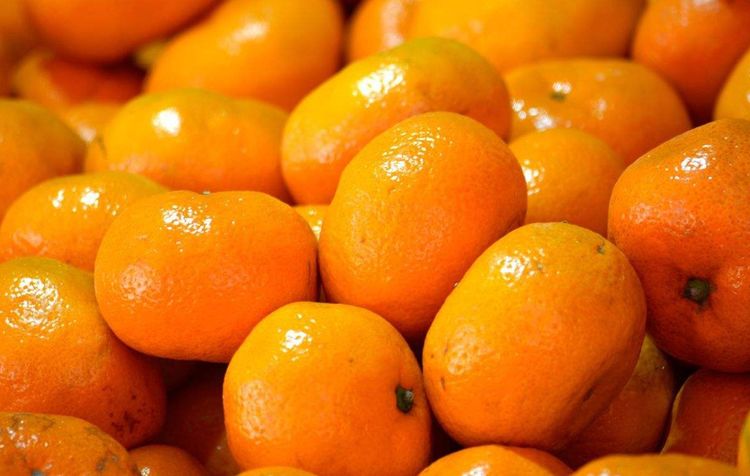 橘子好不好吃看两个地方就对了,学会后挑橘子一挑一个准