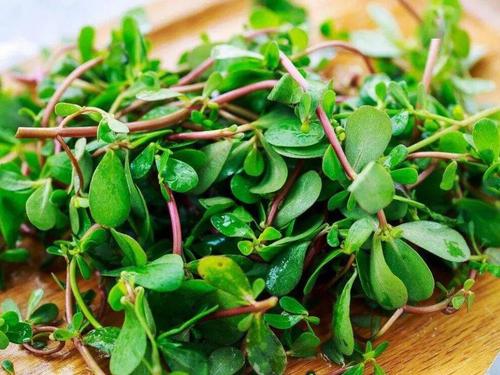 都不陌生,在北方很多朋友把它叫做马灵菜,而南方朋友把它叫做麻绳菜