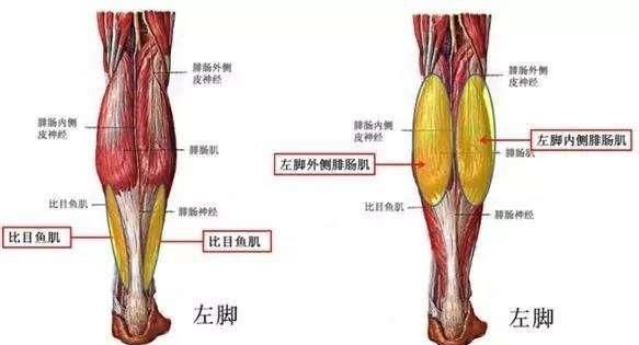 新手肌肉力量和耐力较低,尤其是缺乏锻炼的人刚开始跑步或做其它锻炼