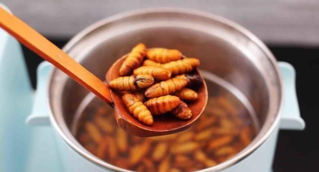 3,蚕蛹洗净后,在东菱早餐机的汤锅中加入适量水,煮沸,然后把蚕蛹放入