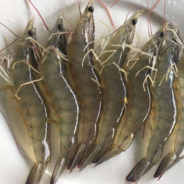 过年买虾只看弯不弯就错了记住这4点都能买到新鲜大虾