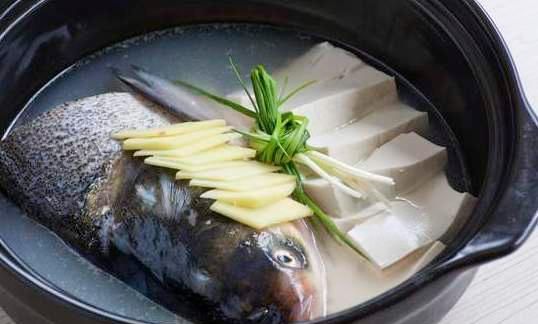 熬魚頭湯,用開水還是用冷水?掌握這2點,魚湯又濃又白,沒腥味