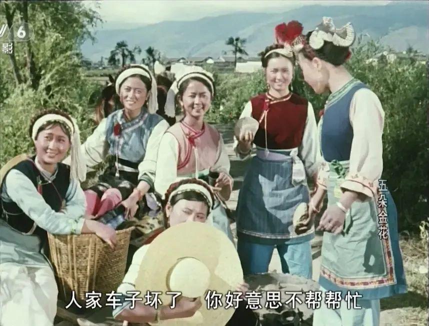 五朵金花老片新映蝴蝶泉边会金花