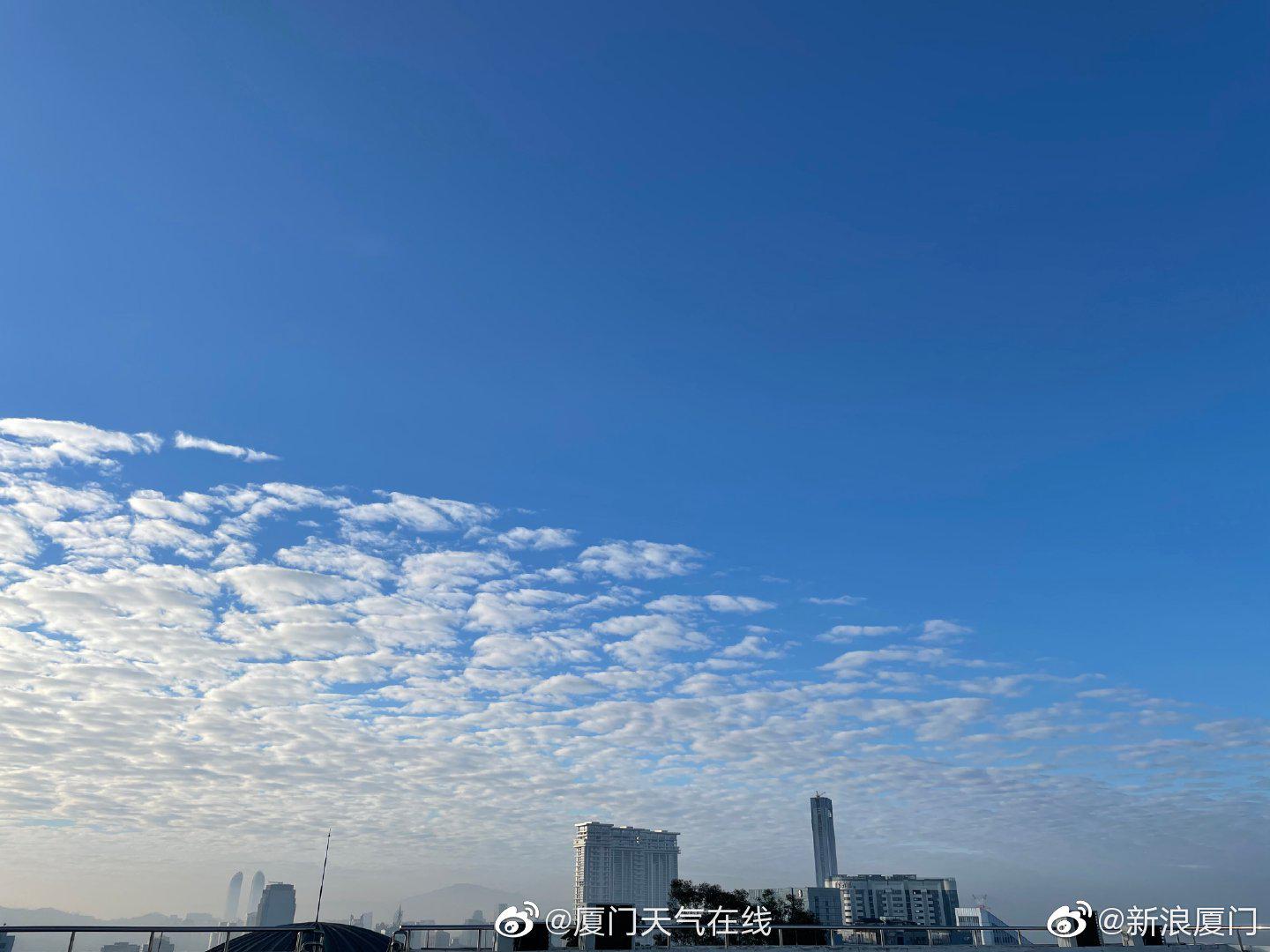 厦门回暖像夏天!今明最高温25℃!厦门惊现阴阳天