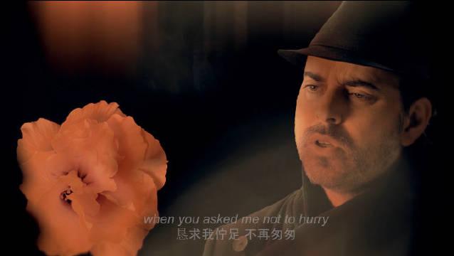 《ill be coming back(我必速速归来)》