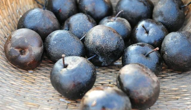 美女网购10斤“东北冻梨”,吃后给了差评,看到吃法网友笑趴了休闲区蓝鸢梦想 - Www.slyday.coM 美女网购10斤“东北冻梨”,吃后给了差评,看到吃法网友笑趴了休闲区蓝鸢梦想 - Www.slyday.coM