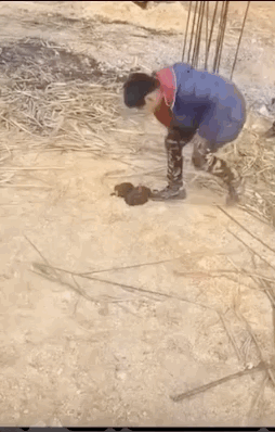 254_398竖版 竖屏gif 动态图 动图
