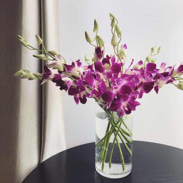 插花洋兰鲜切花养护
