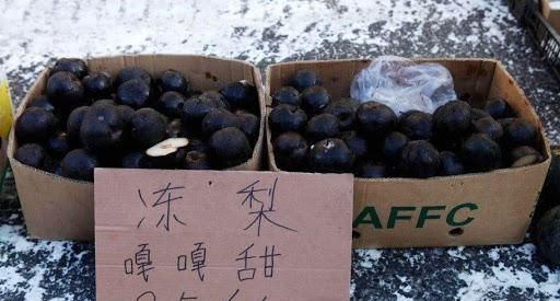 美女网购10斤“东北冻梨”,吃后给了差评,看到吃法网友笑趴了休闲区蓝鸢梦想 - Www.slyday.coM 美女网购10斤“东北冻梨”,吃后给了差评,看到吃法网友笑趴了休闲区蓝鸢梦想 - Www.slyday.coM