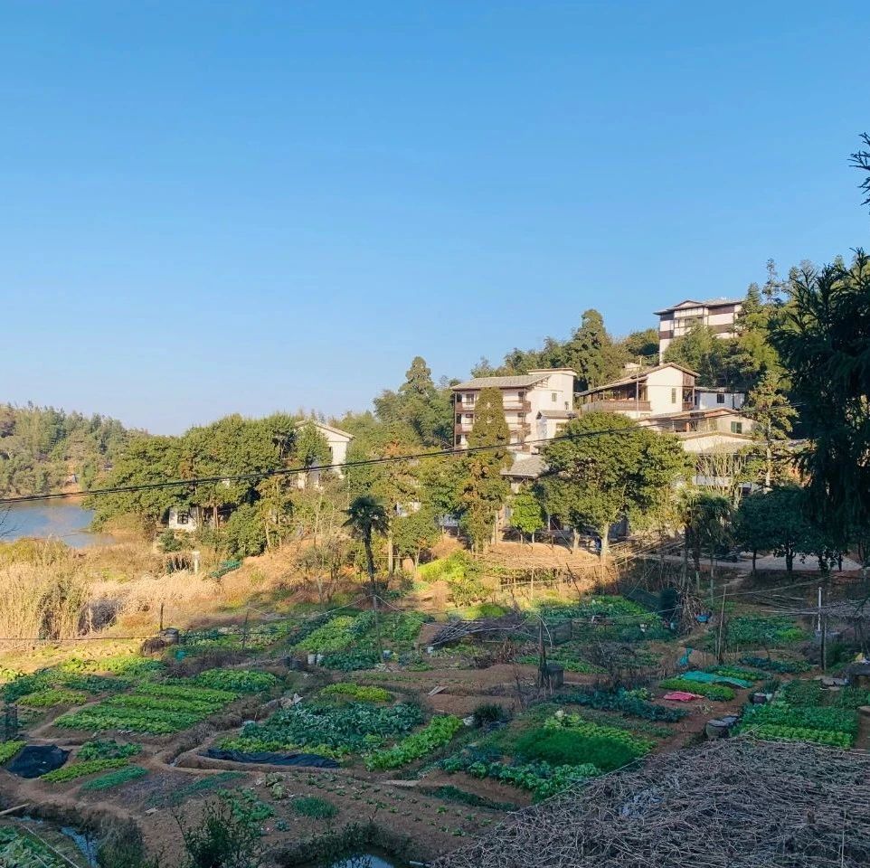 福州晋安区宦溪镇:美丽乡村建设 打造鼓岭的世外桃源