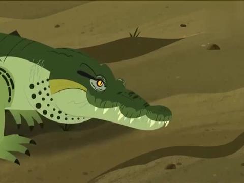 动物兄弟:阿维娃一直不喜欢鳄鱼妈妈,觉得她非常的危险