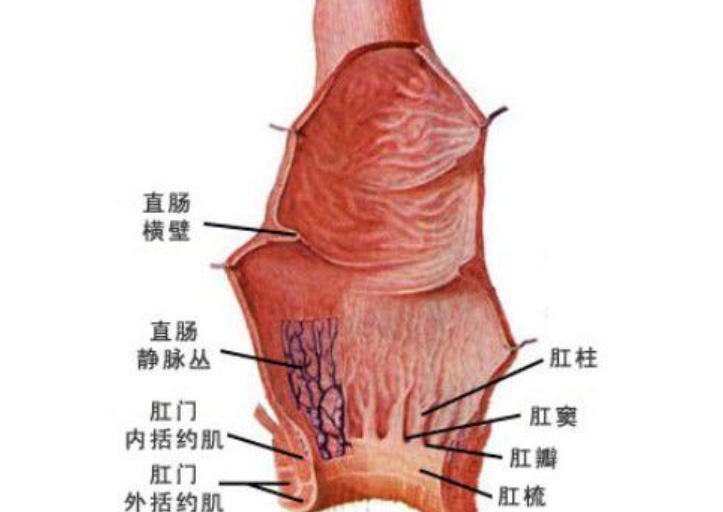 坂本龙一确诊罹患直肠癌治疗中，有人直白问，“生存期是多少”休闲区蓝鸢梦想 - Www.slyday.coM