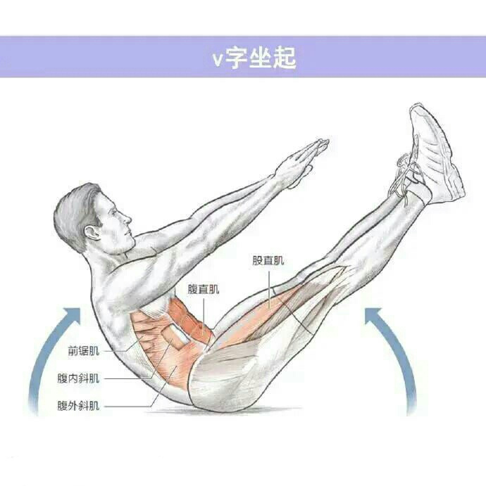 从易到难练腹肌,9个动作,助你练出强大核心,虐出腹肌马甲线