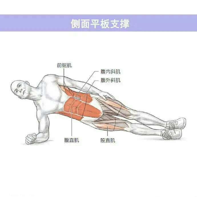 从易到难练腹肌,9个动作,助你练出强大核心,虐出腹肌马甲线