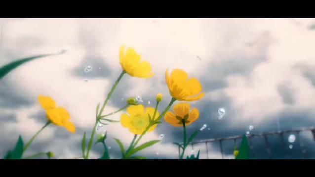 b站"仅200粉丝up主"墨茶official