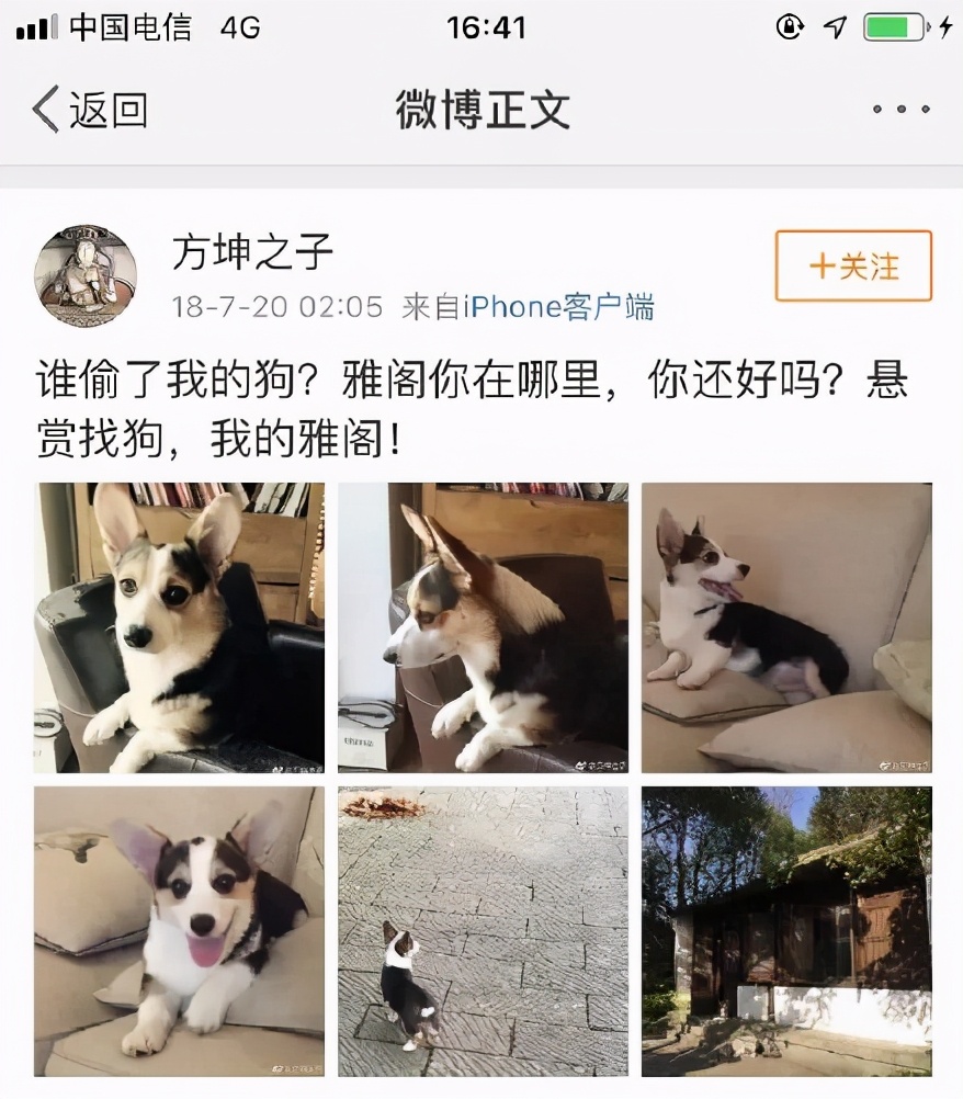 袁立退圈也不得安宁前男友再提当年偷狗事件言词带着嘲讽