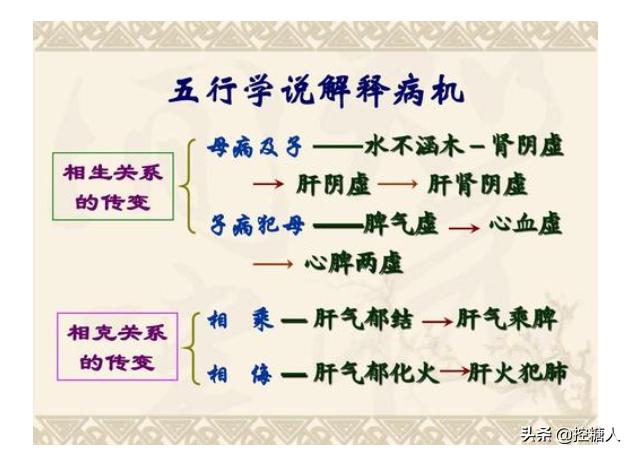 脾虚到底是怎么回事?
