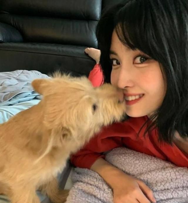 Twice的momo新领养的救援幼犬 名字却还无法确定 名字 救援犬 幼犬 新浪新闻 Twice的momo新领养的救援幼犬 名字却还无法确定 名字 救援犬 幼犬 新浪新闻