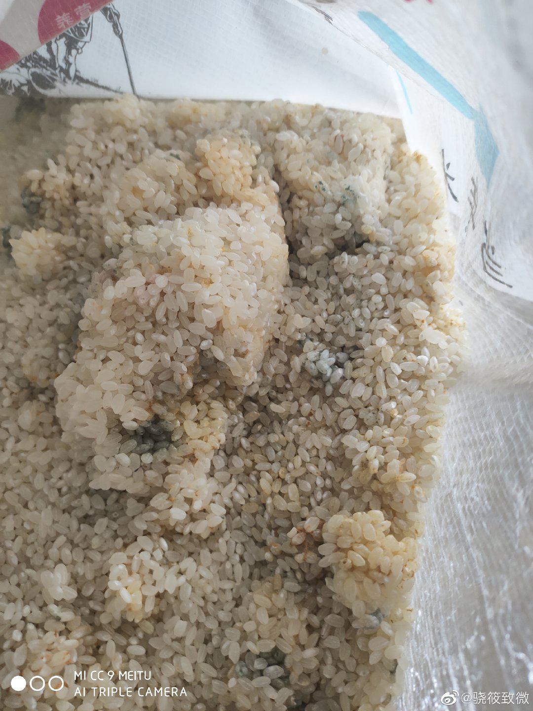 新闻搜索_新浪搜索_新浪网