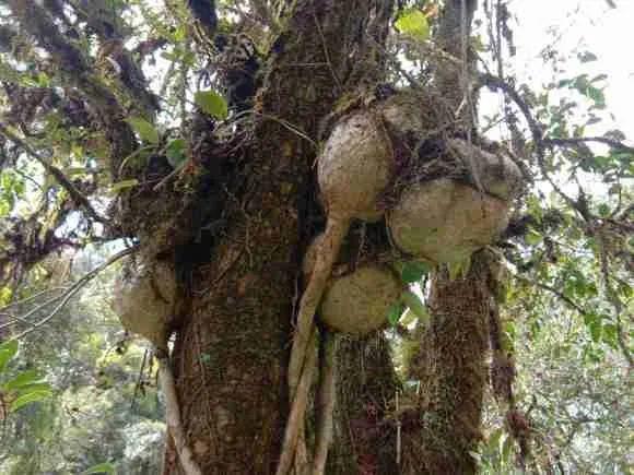 新闻搜索_新浪搜索_新浪网