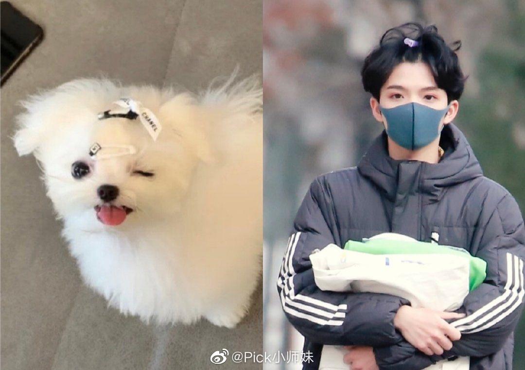 刚看到赵瑾尧这组扎小辫子的照片!真的好可爱啊!