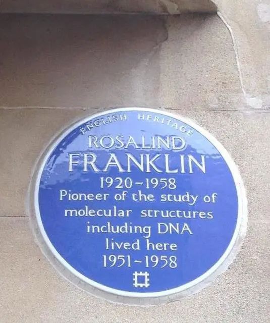 到了这间酒吧,我想起了她|富兰克林|罗莎琳德|沃森_新浪新闻