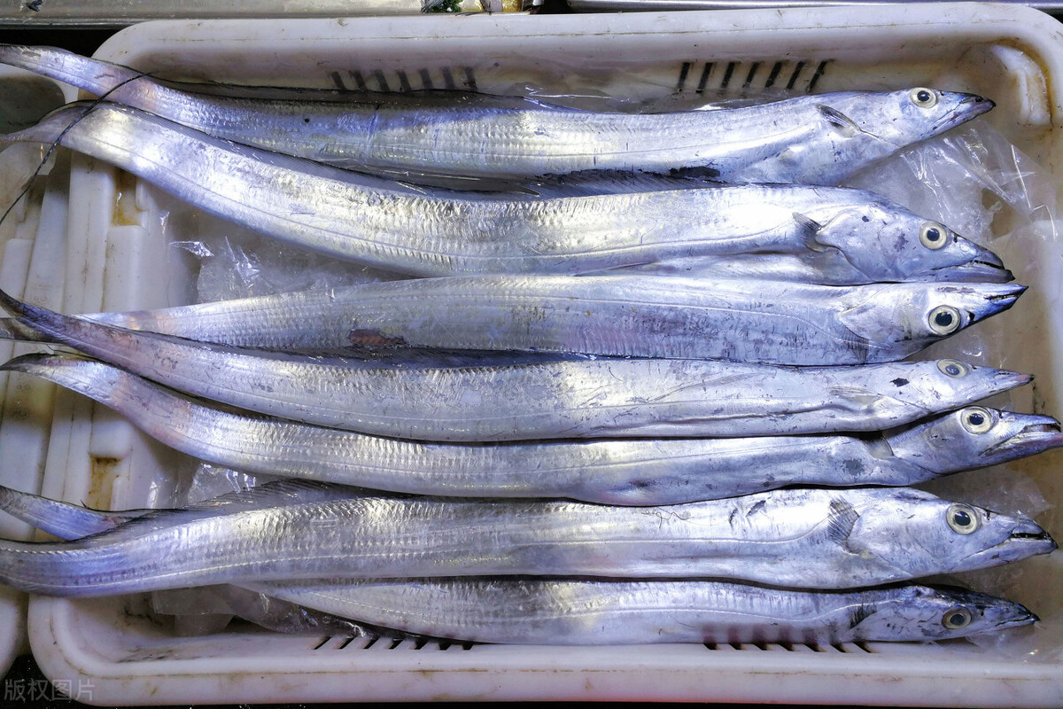 买带鱼时要擦亮眼睛认准这4种带鱼不仅新鲜而且健康更放心