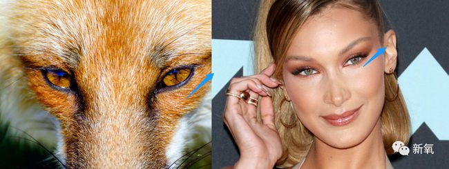 狐狸眼眼妆是美妆界的审美新风向