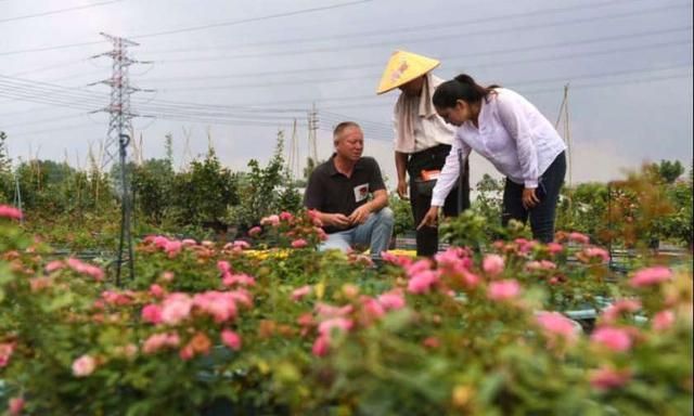 宿豫区gdp2020_宿迁市2020年前三季度地方财政收入:宿豫区、经开区增速迅猛
