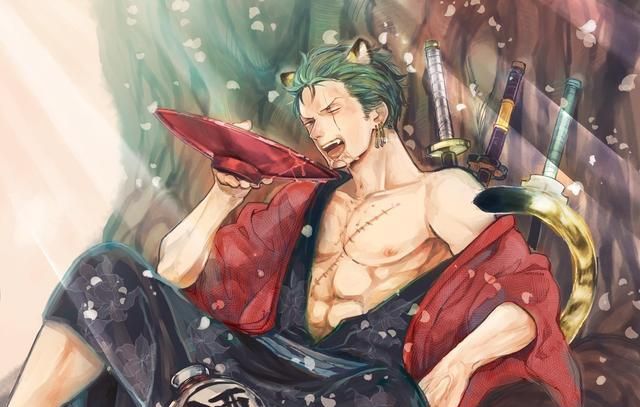 海贼王两年后的索隆究竟有多强路飞和山治或许只是个弟弟