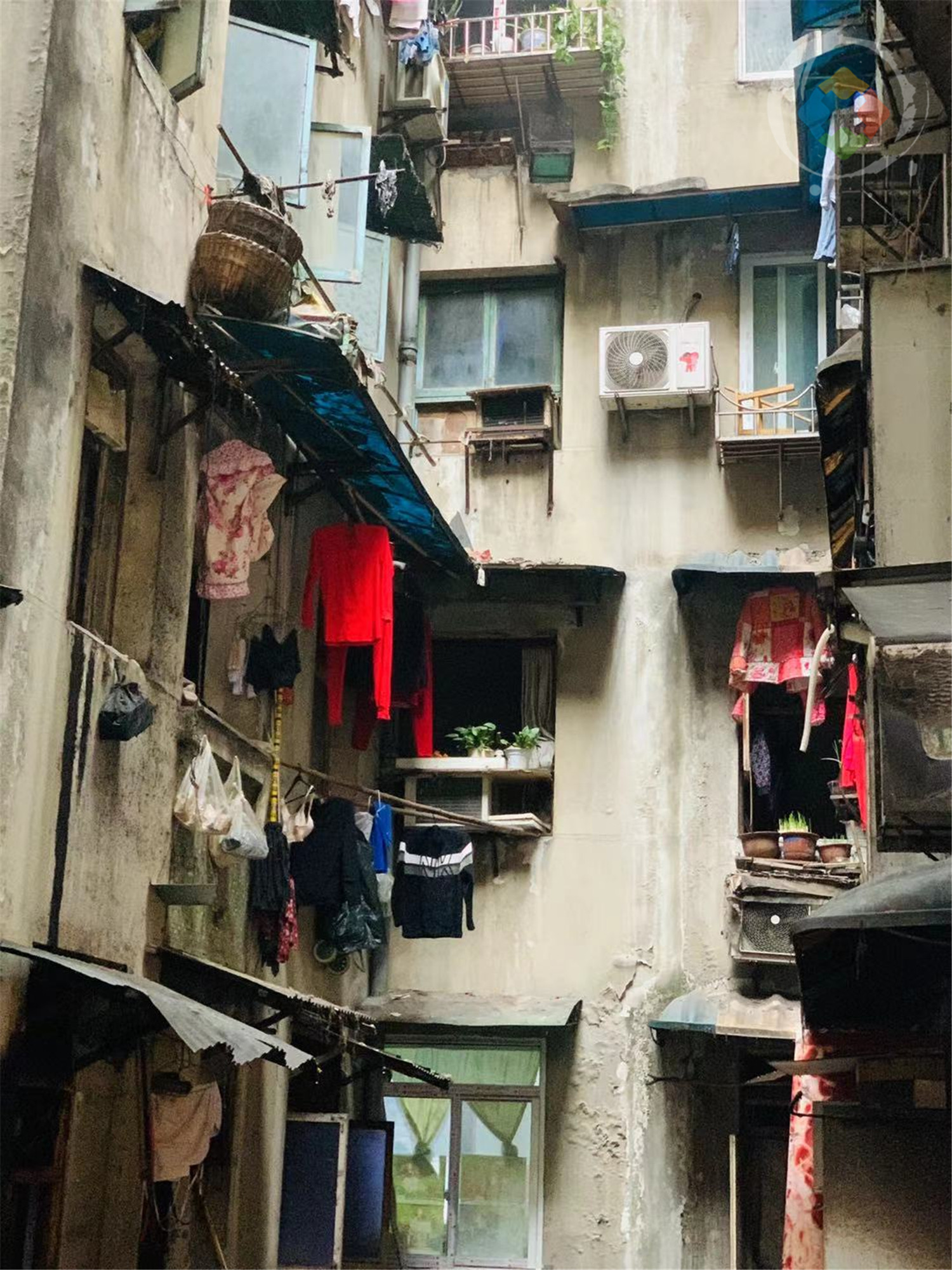 重庆老居民楼里的火锅一桌12道菜只一个人吃食客却络绎不绝