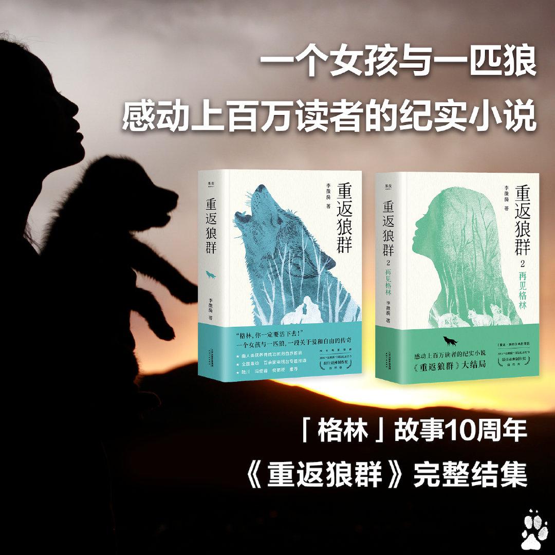 2010年,野生动物画家李微漪在若尔盖草原写生时偶然救下狼王遗孤