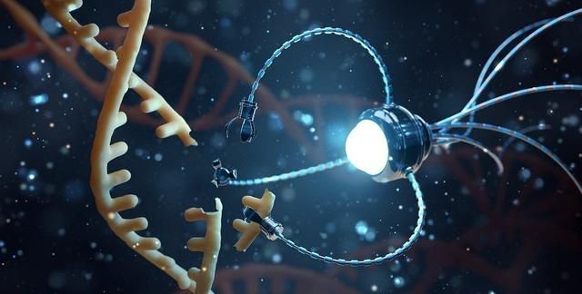 纳米技术再突破,创可贴也有想法,监测伤口情况还能跟你"说"声